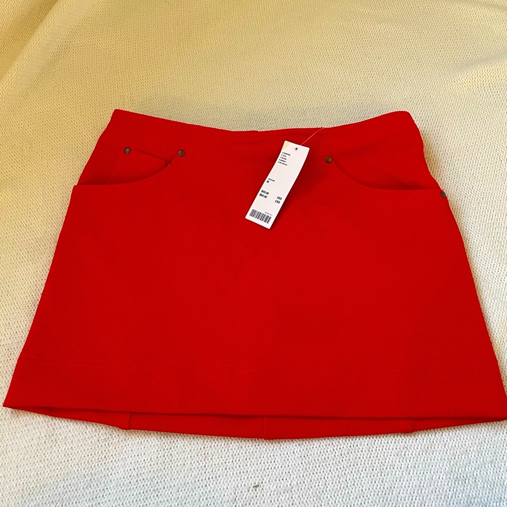 Urban Outfitter Mini Skirt
